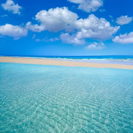 Mojo A 100mts De La Playa De *