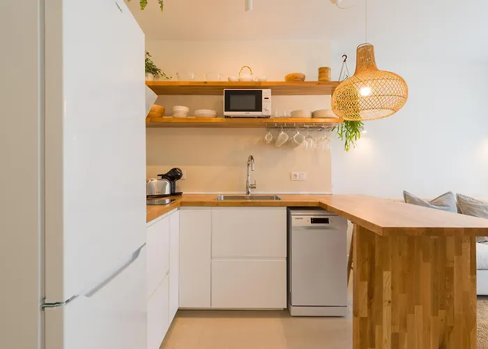 Mojo A 100mts De La Playa De *