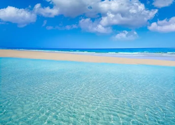 Mojo A 100mts De La Playa De *