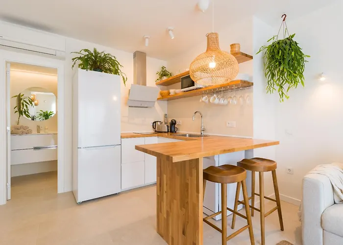 Mojo A 100mts De La Playa De Apartamento *