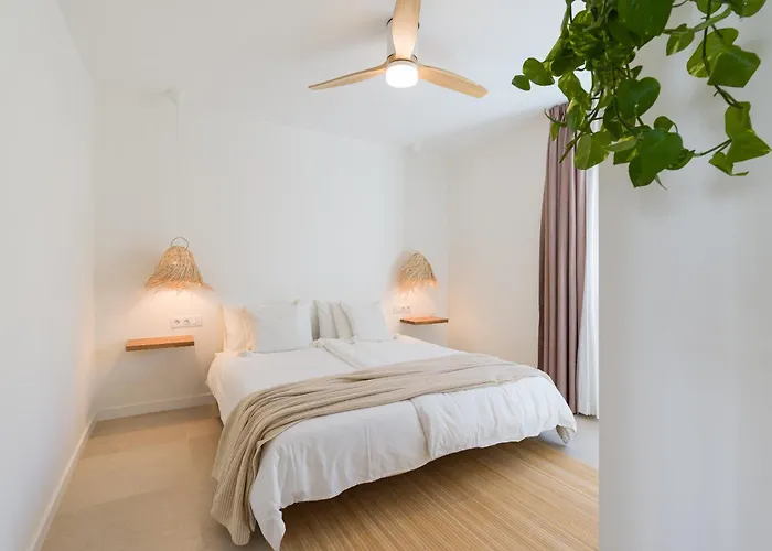 Mojo A 100mts De La Playa De Apartamento *